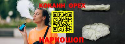 твердый Гатчина