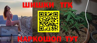 сатива Гагарин