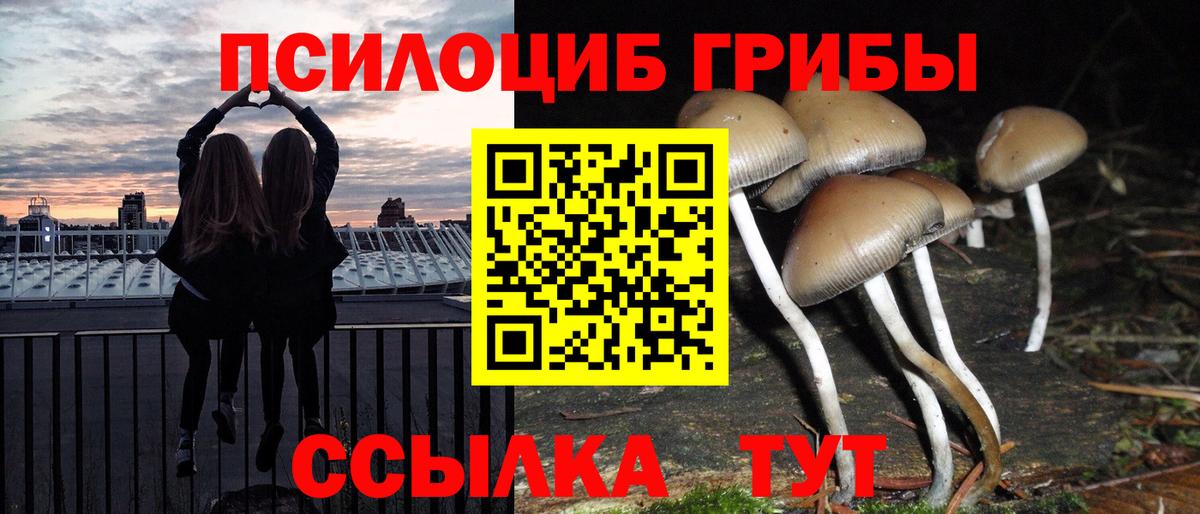 Псилоцибиновые грибы Psilocybe Заинск