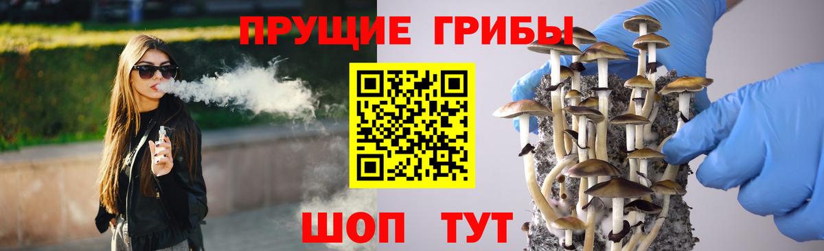 Псилоцибиновые грибы мицелий  Вход с VPN  Галлюциногенные грибы мицелий  Заинск 